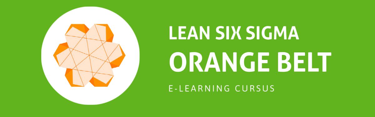 Verbetermanagement met Lean Six Sigma: Orange Belt