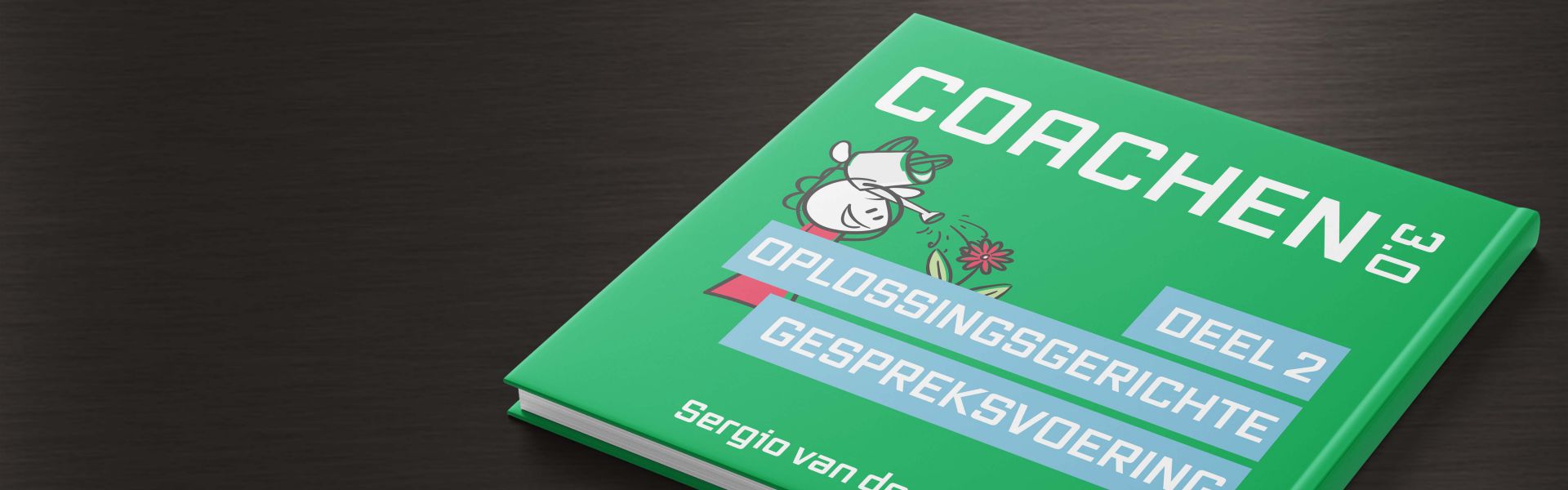 Coachen 3.0 deel 2: Oplossingsgerichte gespreksvoering (e-book)