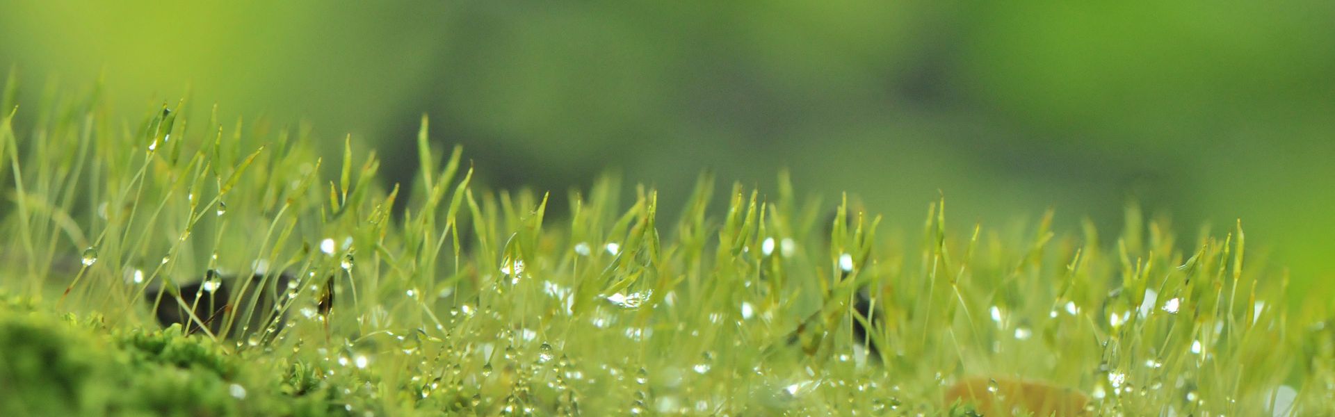 Mindfulness, theorie en oefeningen (e-book)