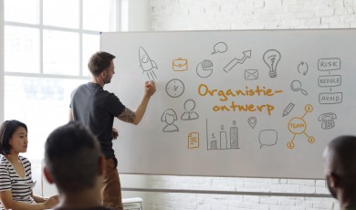 MBA (Bedrijfskunde) voor management: Organisatie-ontwerp