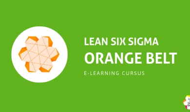 Verbetermanagement met Lean Six Sigma: Orange Belt